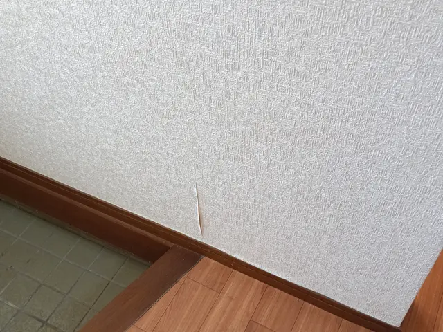 クロスクリーニングサービスの画像