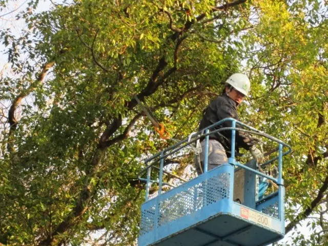 【業歴15年の経験と実績】女性スタッフ同行可能・アフターフォローもばっちり！サービスの画像