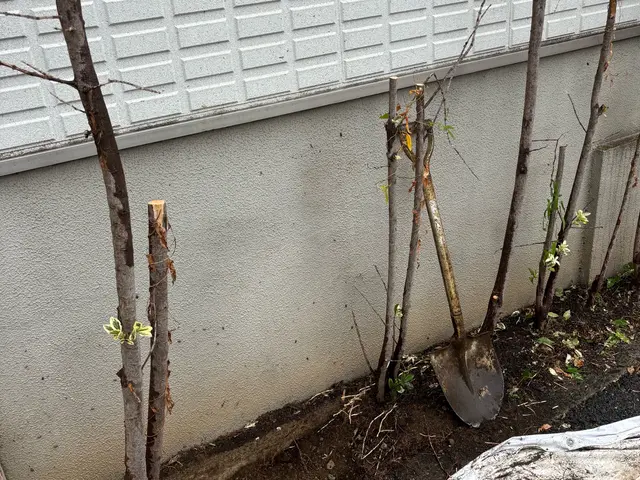 信頼と実績の10年！あなたの庭を美しく整えるプロフェッショナルサービス◎サービスの画像