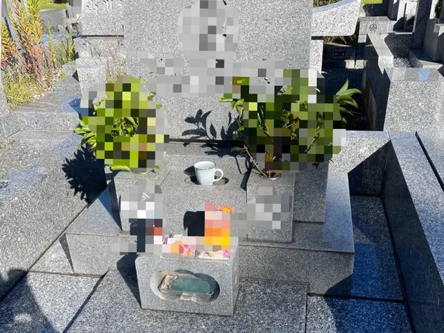 貴方の代わりに丁寧にお墓参りを行いますサービスの画像