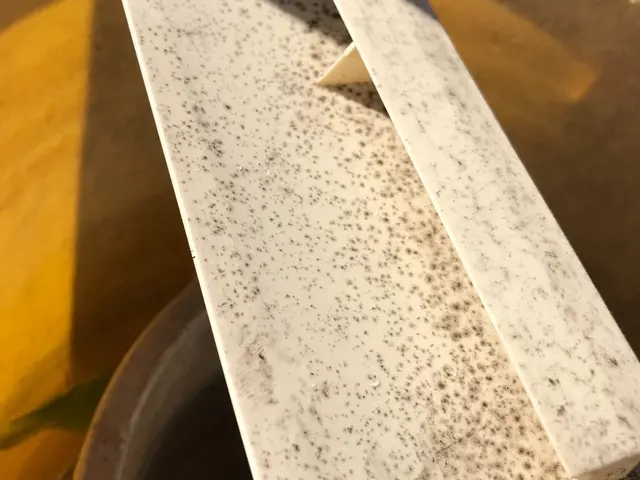 エアコン休間期に人気上昇！繁忙期前にお急ぎください。サービスの画像