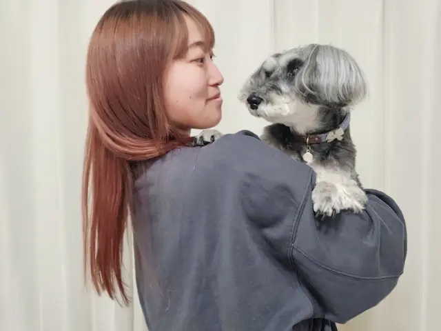 大阪市の訪問型ペットお世話サービス！サービスの画像