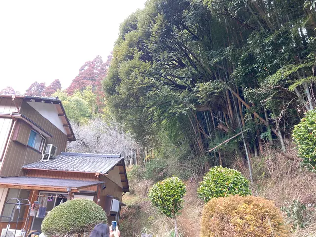 損害保険加入済で安心◎作業の外注は一切なく、最後まで責任を持って対応いたします！サービスの画像