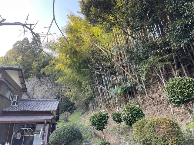 損害保険加入済で安心◎作業の外注は一切なく、最後まで責任を持って対応いたします！サービスの画像