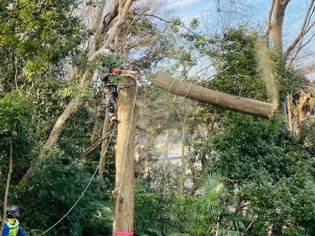 損害保険加入済で安心◎作業の外注は一切なく、最後まで責任を持って対応いたします！サービスの画像