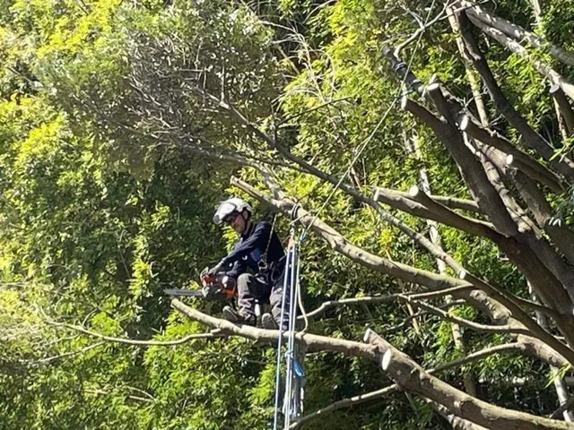 損害保険加入済で安心◎作業の外注は一切なく、最後まで責任を持って対応いたします！サービスの画像