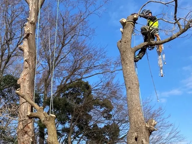 損害保険加入済で安心◎作業の外注は一切なく、最後まで責任を持って対応いたします！サービスの画像
