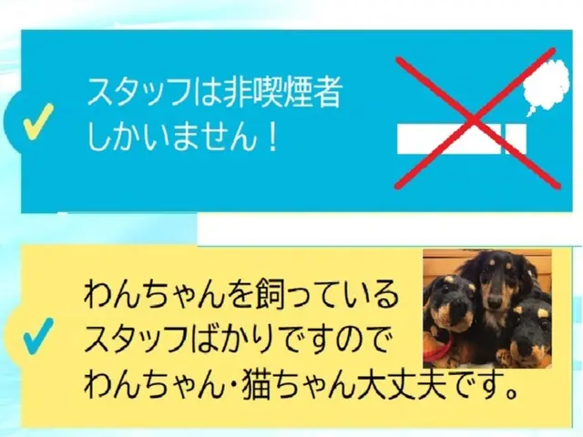 【2/6.8.9限定価格】さらに,オプション３点セット70％割引☆3500円込サービスの画像