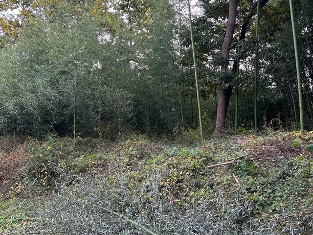 日頃は日本一きれいな梨園を目指して梨栽培をしてます。サービスの画像