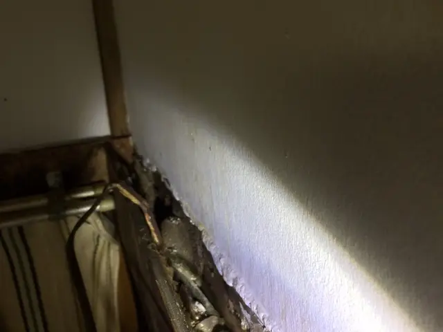 ネズミから大切な家と家族をお助けいたします！ご不明な点を丁寧にご説明致します♬サービスの画像