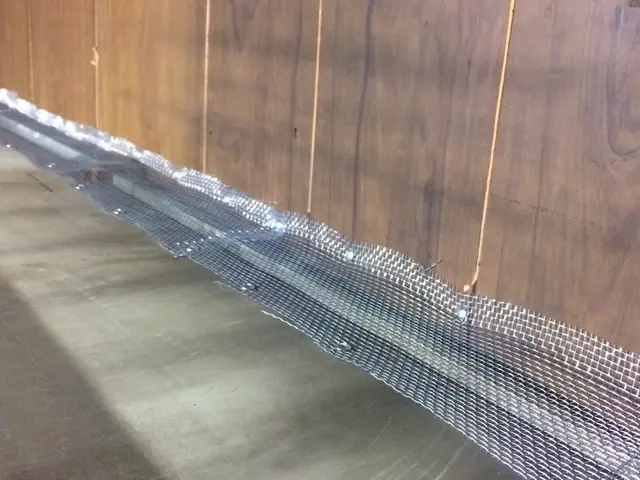 ネズミから大切な家と家族をお助けいたします！ご不明な点を丁寧にご説明致します♬サービスの画像