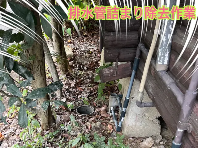 お家の排水管ピカピカに致します。サービスの画像