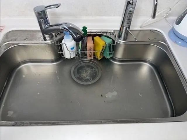 お家の排水管ピカピカに致します。サービスの画像