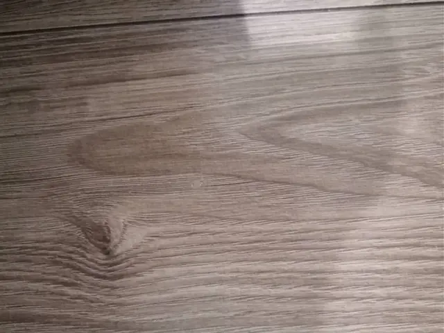 即日対応可☆31日以降まだ空枠あり！補修専門店☆床・壁・扉、サッシの補修はお任せサービスの画像