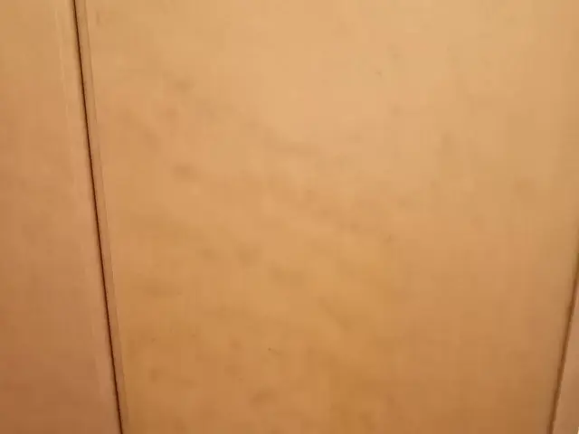 即日対応可☆31日以降まだ空枠あり！補修専門店☆床・壁・扉、サッシの補修はお任せサービスの画像