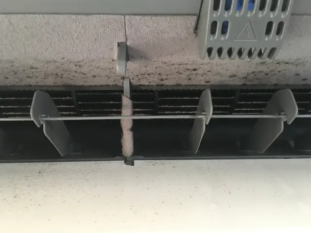 【人と地球にやさしい安心・安全な天然植物洗剤使用】森林浴効果の消臭・抗菌サービスサービスの画像