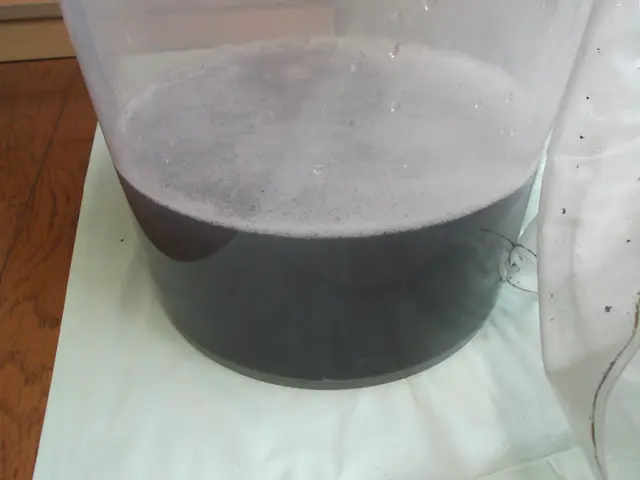 【人と地球にやさしい安心・安全な天然植物洗剤使用】森林浴効果の消臭・抗菌サービスサービスの画像