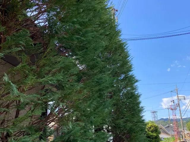 機材は全て電動で静か☆御近所様への騒音の心配無し☆サービスの画像