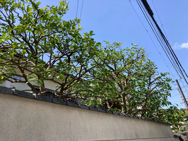 機材は全て電動で静か☆御近所様への騒音の心配無し☆サービスの画像