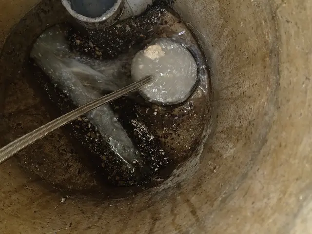 プロの技術でご満足いただけるように心を込めて作業いたしますサービスの画像