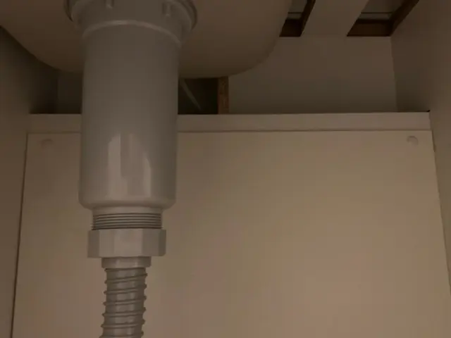 【本日可】深夜1匹の駆除・侵入口調査・自社スタッフがお伺いします！【損保加入】サービスの画像