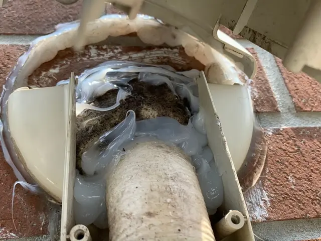 【本日可】深夜1匹の駆除・侵入口調査・自社スタッフがお伺いします！【損保加入】サービスの画像