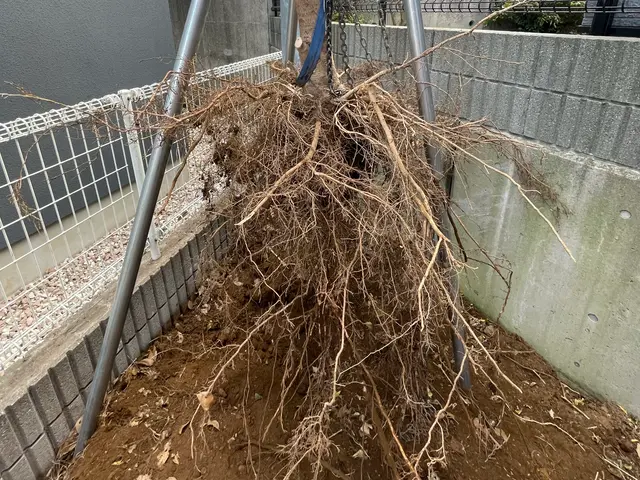 3m未満割引中【2024アワード入賞】高木10m以上OK！安全性を重視した作業サービスの画像