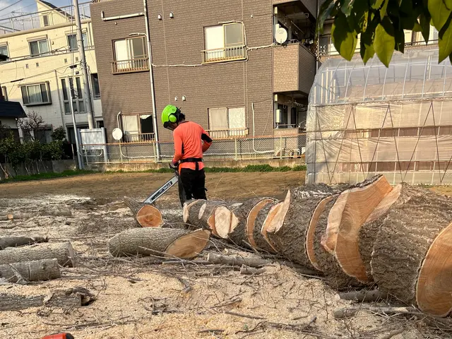 3m未満割引中【2024アワード入賞】高木10m以上OK！安全性を重視した作業サービスの画像