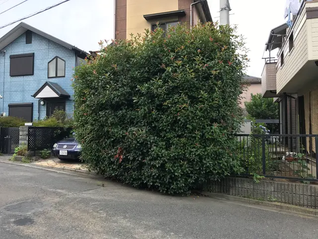 【業歴10年！】お客様のどのようなニーズにも答えられる確かな技術を提供します！サービスの画像