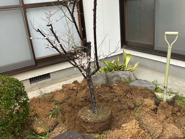 【職人歴15年の実績】予約から作業まで全て自社対応◎迅速丁寧に仕上げますサービスの画像