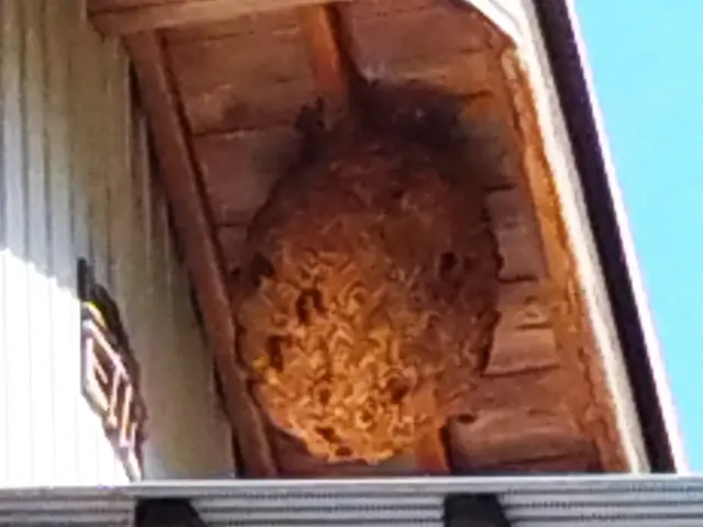 料金表での見積りに間違いなければ、追加料金一切ありません！サービスの画像