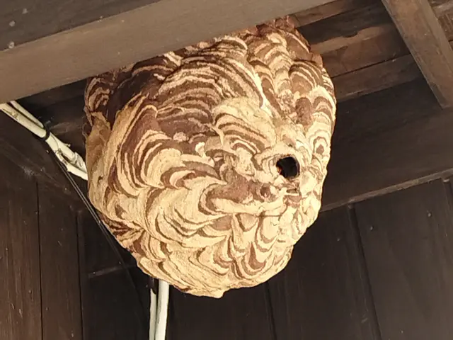 料金表での見積りに間違いなければ、追加料金一切ありません！サービスの画像