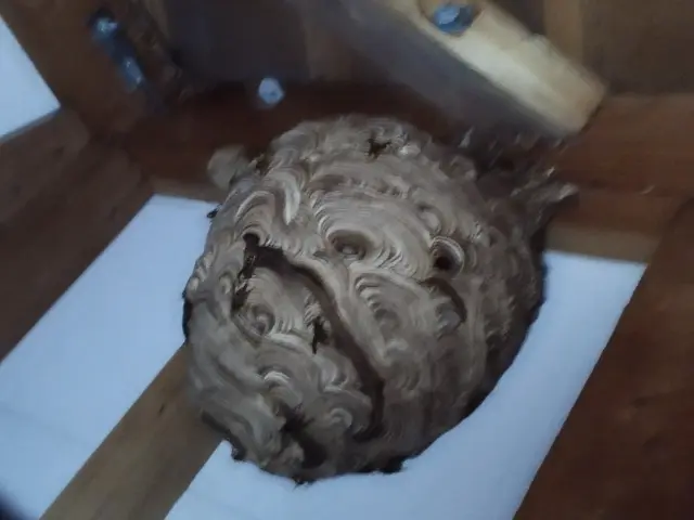 料金表での見積りに間違いなければ、追加料金一切ありません！サービスの画像