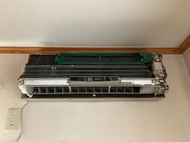 【ニオイ、男女ペア作業可】お掃除機能無のみ対応/アトピー&アレルギーの救世主♪サービスの画像