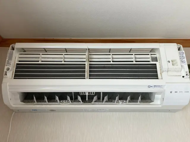 【ニオイ、男女ペア作業可】お掃除機能無のみ対応/アトピー&アレルギーの救世主♪サービスの画像