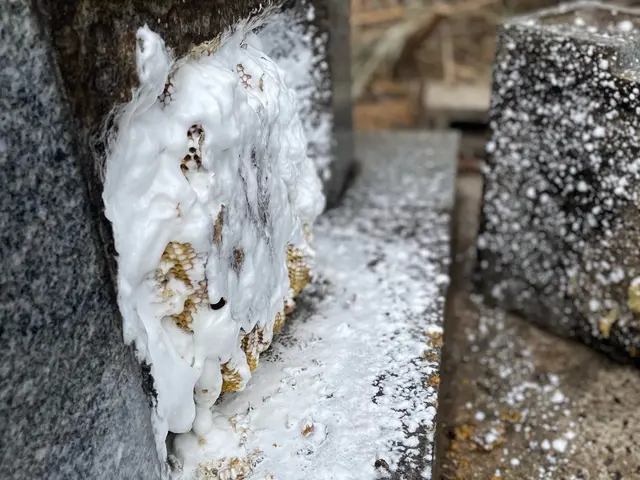 お墓の掃除サービスの画像