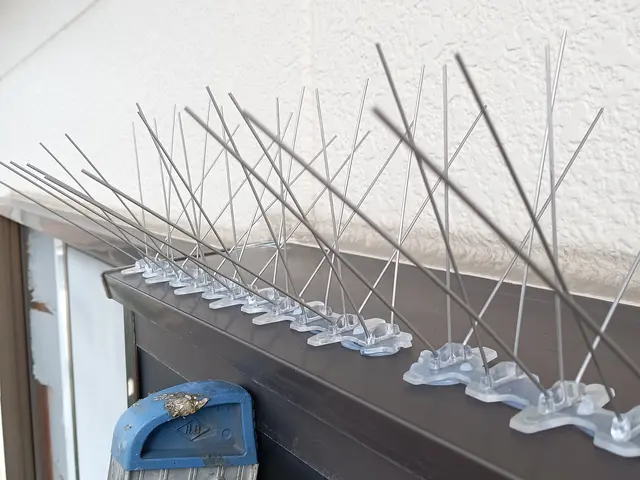 【業界経験30年以上の経験と実績】　　ころさない防鳥対策はおまかせくださいサービスの画像