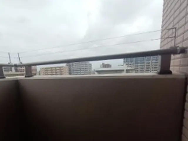 【業界経験30年以上の経験と実績】　　ころさない防鳥対策はおまかせくださいサービスの画像