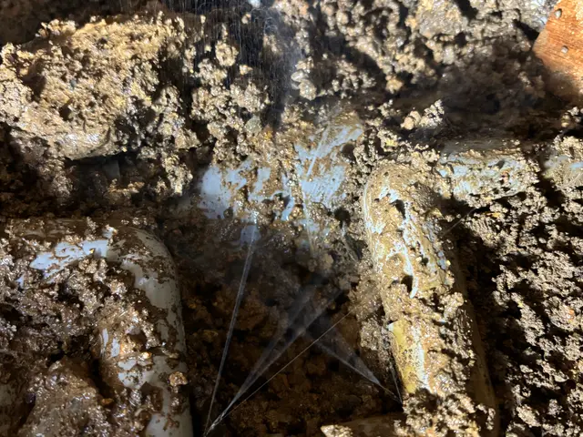 お客様のお力になります！経験と知識を活かして迅速丁寧に作業いたしますサービスの画像