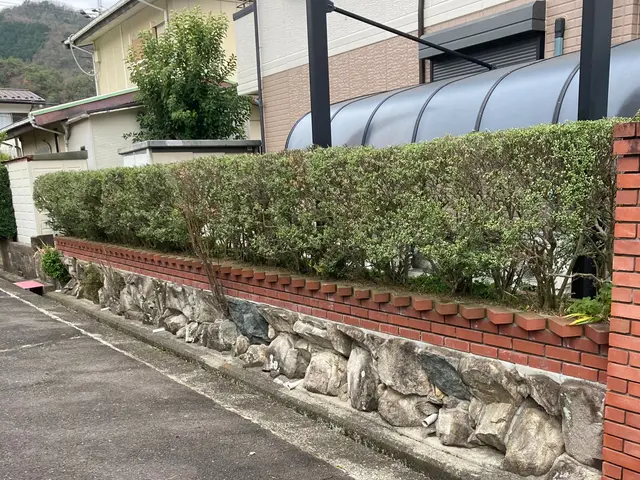 職人っぽくないフランクな対応が売りです！当日対応可能な剪定サービスサービスの画像