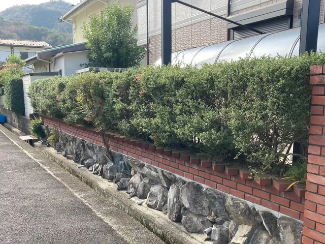 職人っぽくないフランクな対応が売りです！当日対応可能な剪定サービスサービスの画像