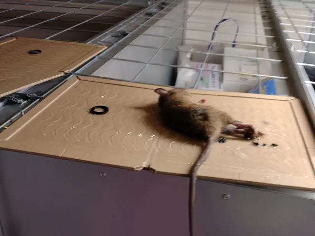 【年中無休・24時間対応】業歴20年以上！経験豊富な技術者が解決!!見積り無料サービスの画像