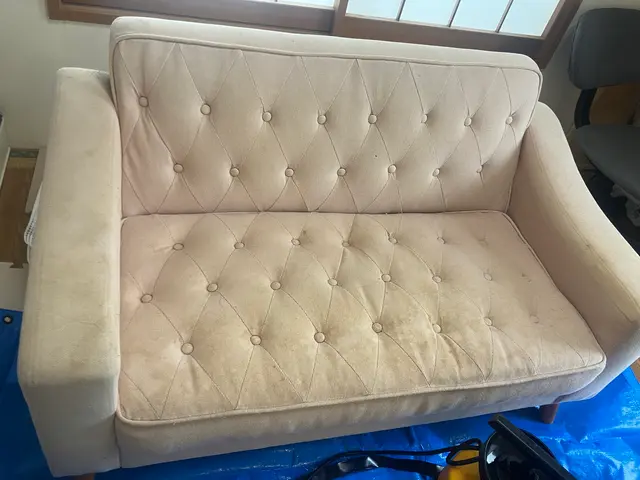 除菌、消臭無料セット！ペットが舐めても安全！即日対応！布ソファークリーニング専門サービスの画像