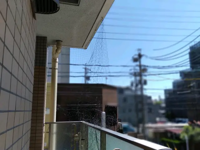 業界歴10年の経験実績あり！現金支払いに限り表示価格から2,000円値引します!サービスの画像