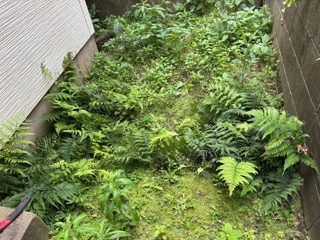 【女性スタッフ活躍中！】丁寧・親切・笑顔でお掃除のプロがキレイにします！サービスの画像