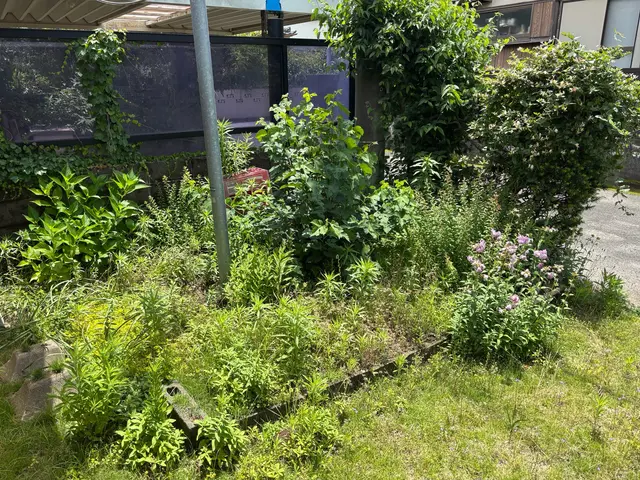 【女性スタッフ活躍中！】丁寧・親切・笑顔でお掃除のプロがキレイにします！サービスの画像