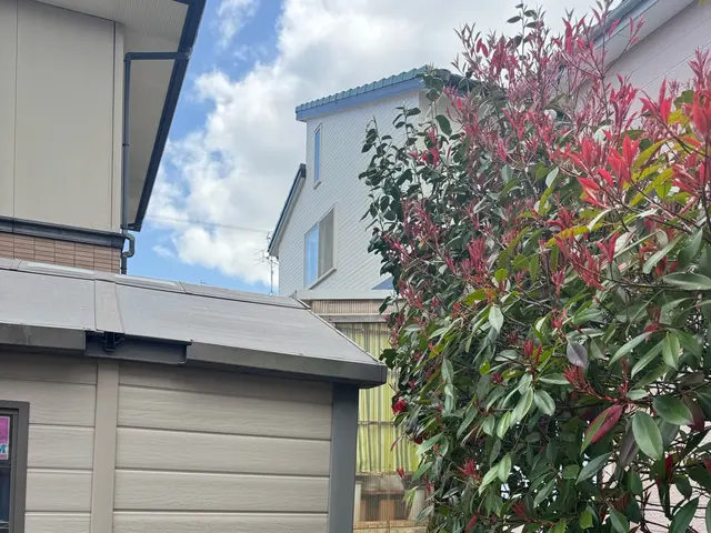 造園会社で6年経験◎安全に丁寧に伐採を心掛けます！サービスの画像