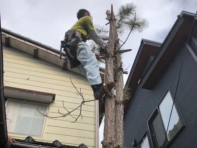 造園会社で6年経験◎安全に丁寧に伐採を心掛けます！サービスの画像