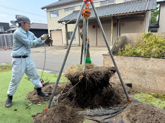 造園会社で6年経験◎安全に丁寧に伐採を心掛けます！サービスの画像