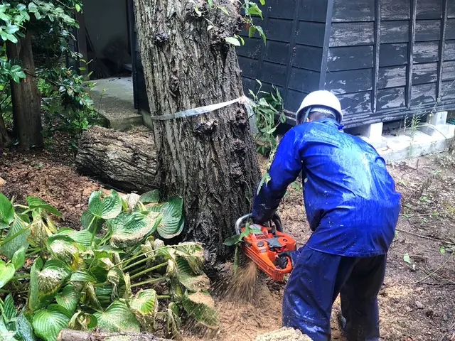 造園会社で6年経験◎安全に丁寧に伐採を心掛けます！サービスの画像